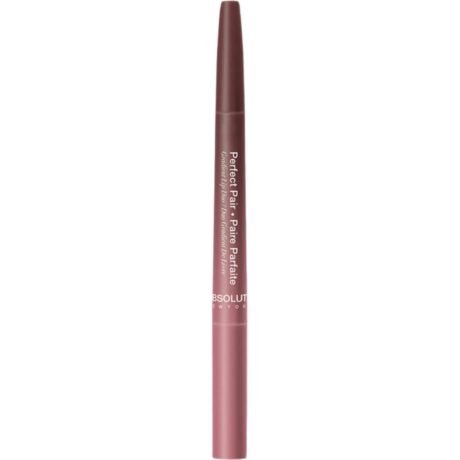 absolute-perfect-pair-lip-duo-ald04-rose-wood-2